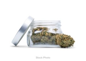 Skywalker OG Flower 3.5g